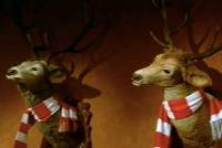 Jägermeister campagne televisie campagne